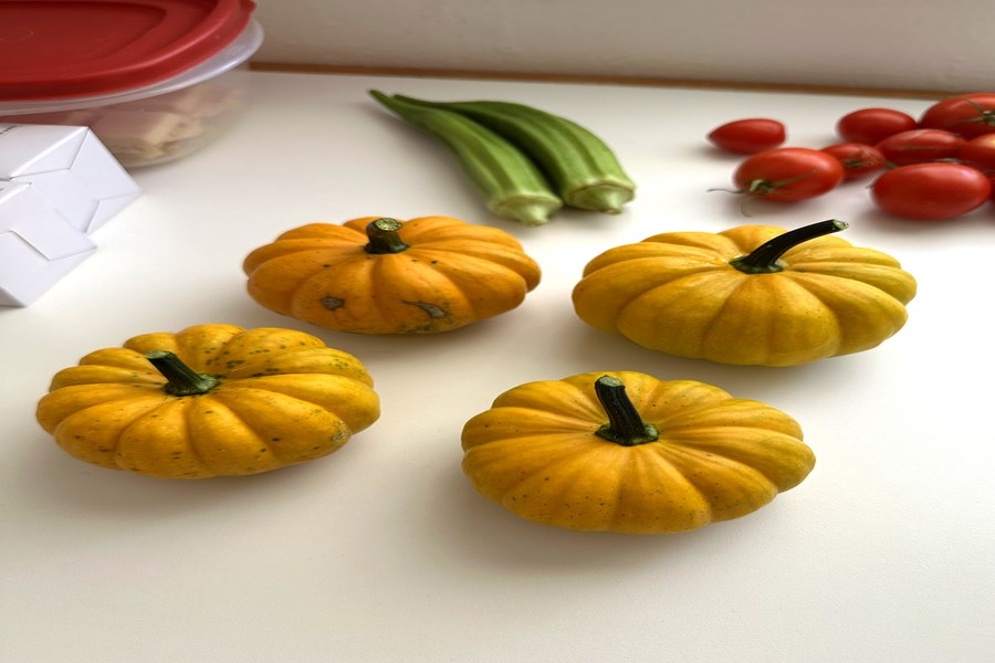 Seasonal picks — pumpkins, tomatoes and okra